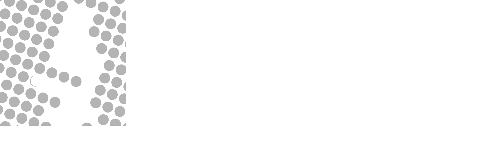 German BioImaging